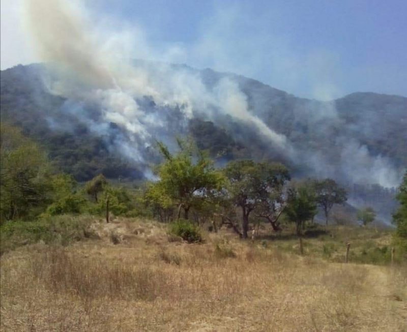 Concluyen trabajos para sofocar el incendio forestal en Aquismón