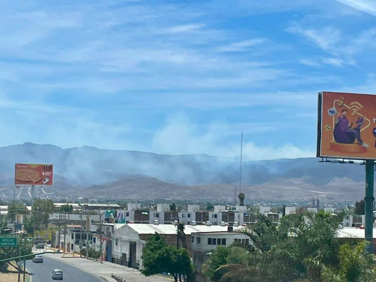 VIDEO Incendio forestal consume 809 hectáreas en Ciudad del Maíz