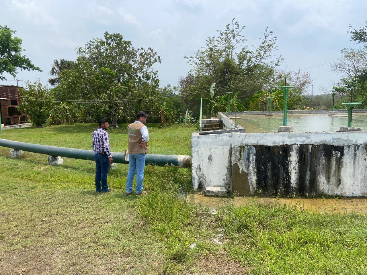 Monitorea Salud calidad bacteriológica del agua
