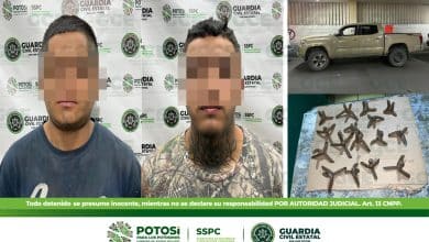 Grupo criminal detenidos