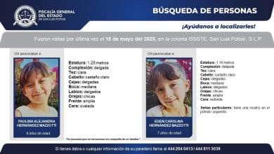 Madre rapta a sus hijas tras perder la custodia legal; denuncian