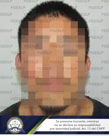 06022019 SLP-ROBO-HELADERIA