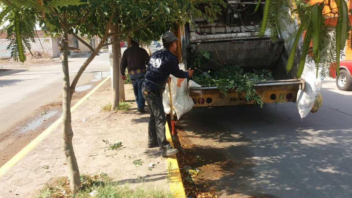 Servicios municipales recorta árboles por fuertes vientos