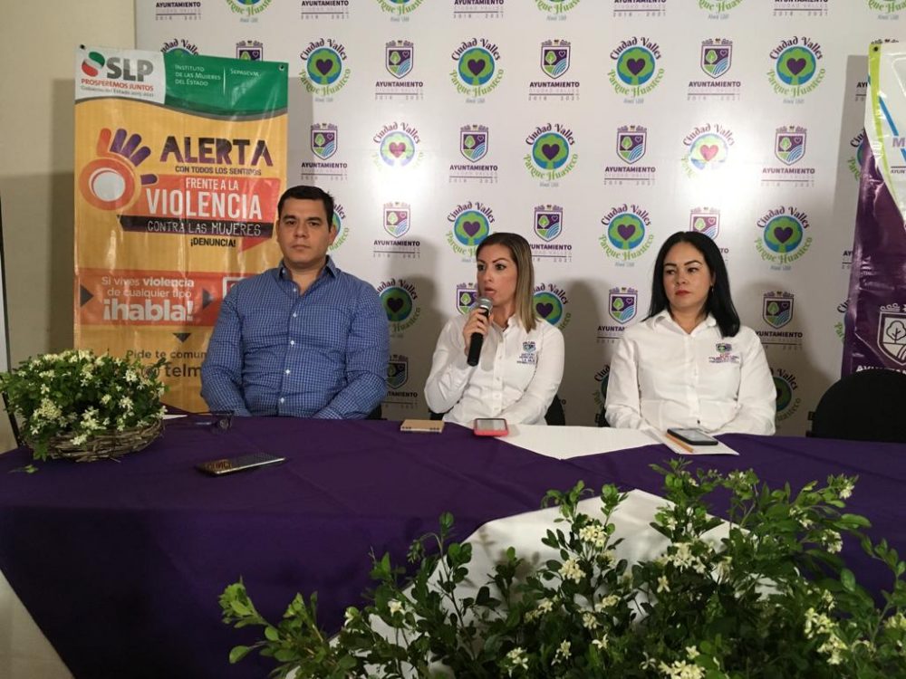 alerta de genero en valles