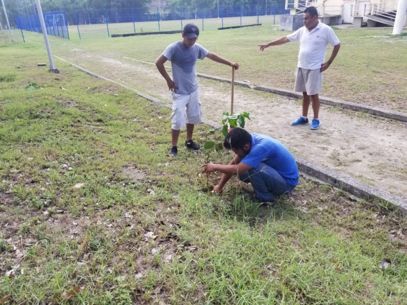 reforestación Aquismón