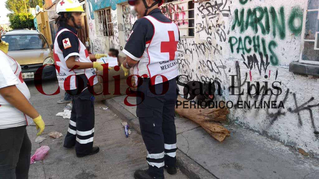 sujeto agrede a un hombre y su perro