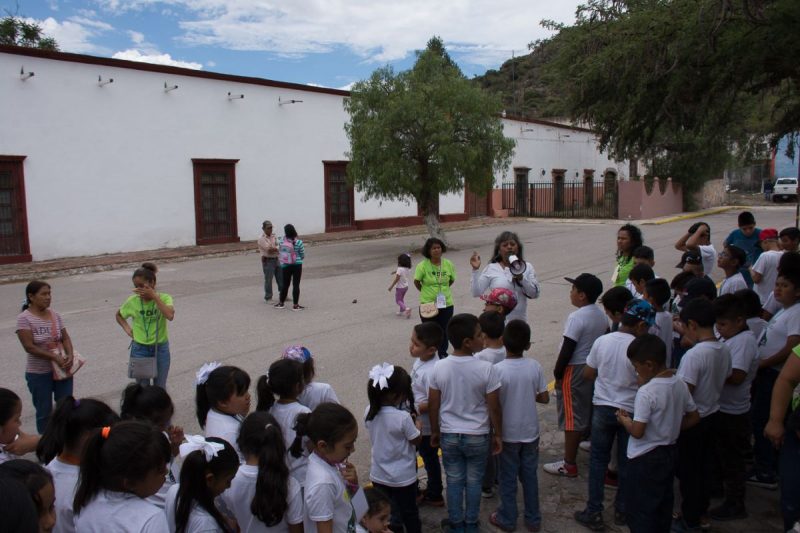 programa verano soledad