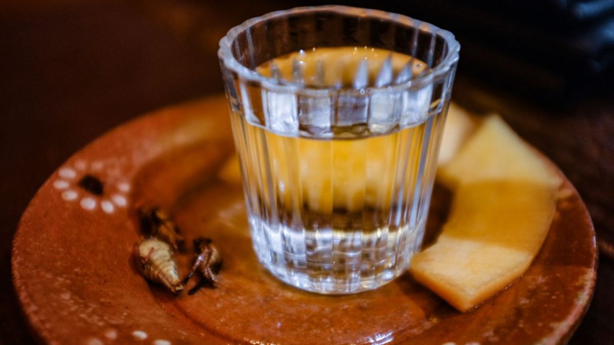 MEZCAL