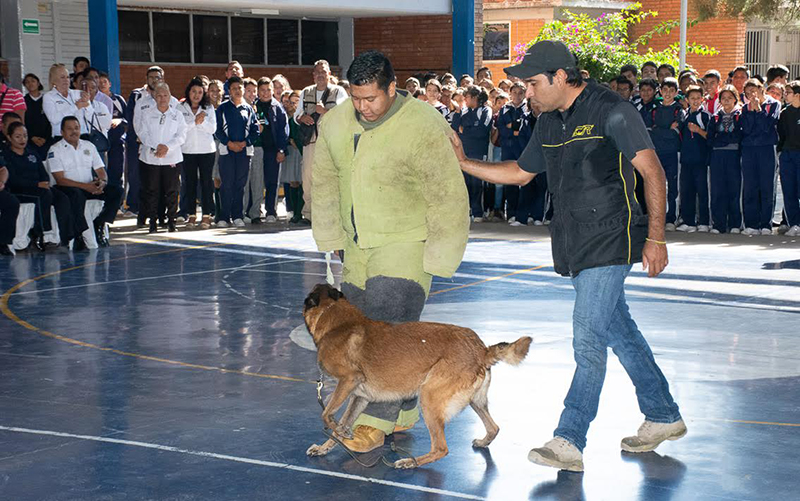 Policia Canina