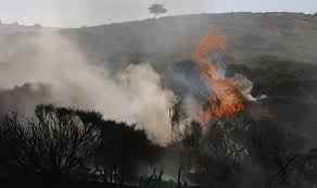 incendios forestales