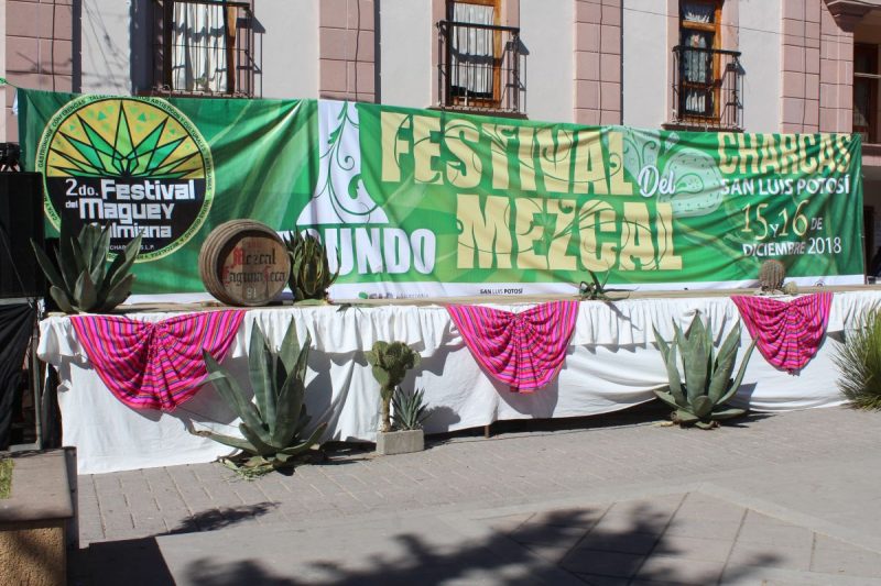 festival del mezcal charcas 2