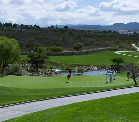 Mirreyes se «agarran a balazos» en el fraccionamiento del club de golf la  Loma – Código San Luis – Periódico en línea