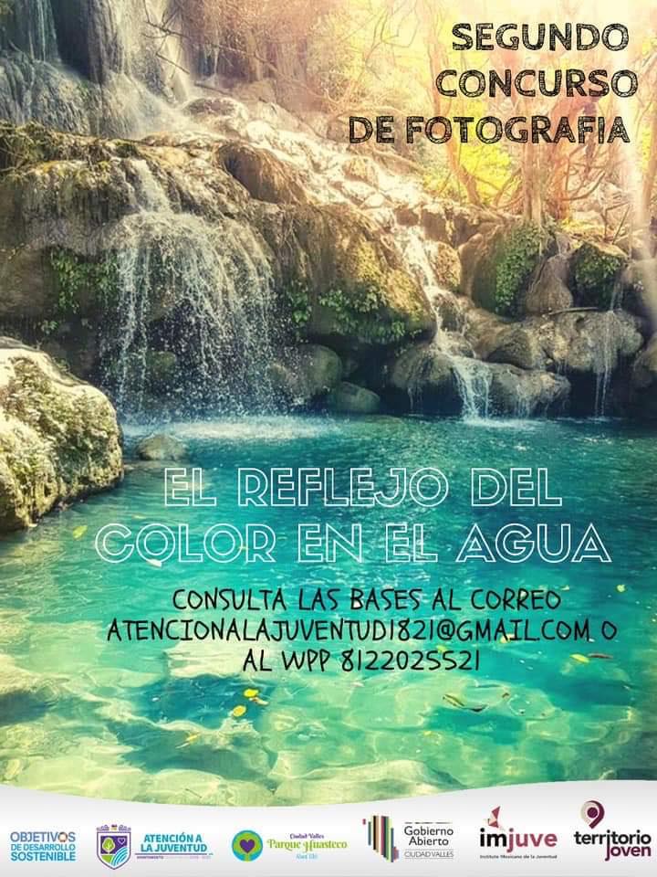 de fotografía concurso