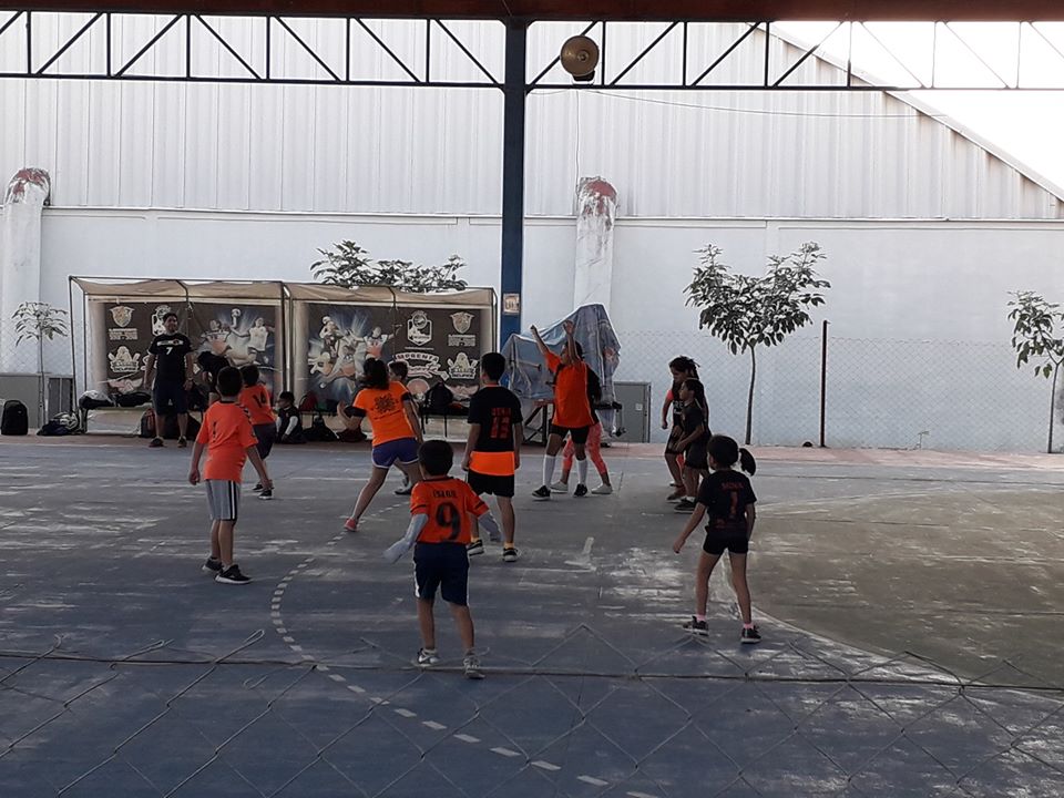 campeonato nacional de handball