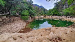 Cascadas de micos 