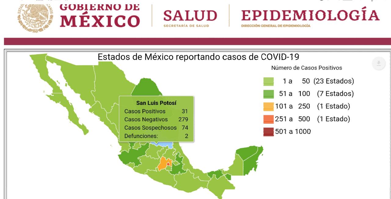 31 casos confirmados