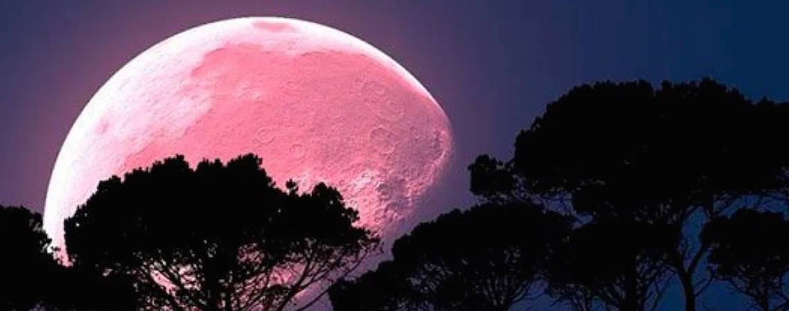 Llega en Semana Santa la superluna rosa