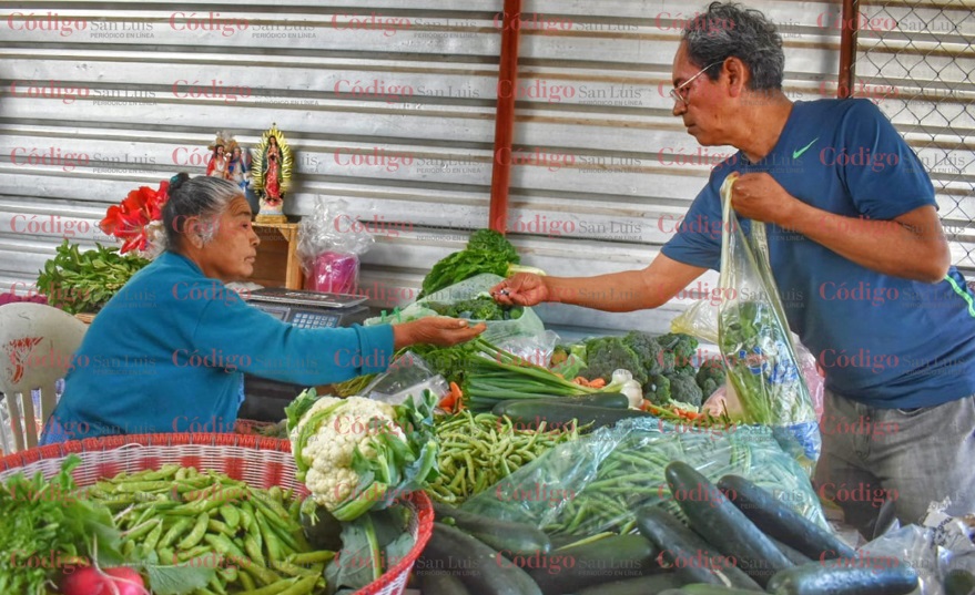 productores agrícolas