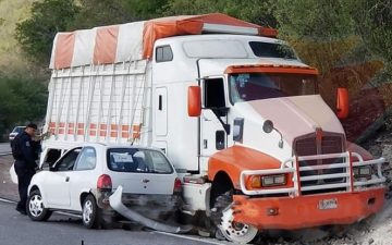 comerciante de tamasopo