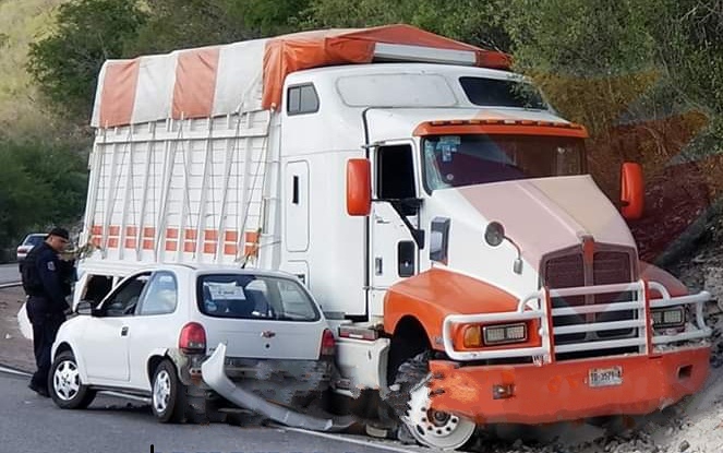 comerciante de tamasopo