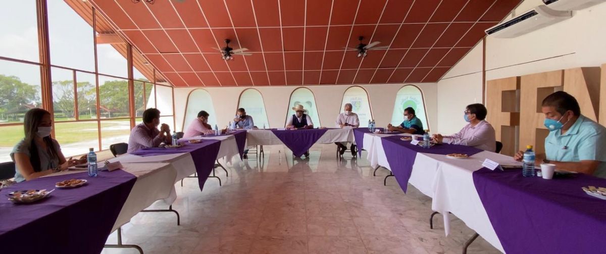 Implan AEC Ciudad Valles