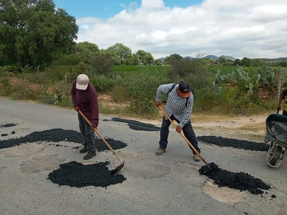 bacheo