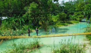 puente chafa- rosalba chavira- tamasopo