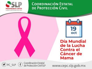 cáncer-mama-rosas-guerreras-dá