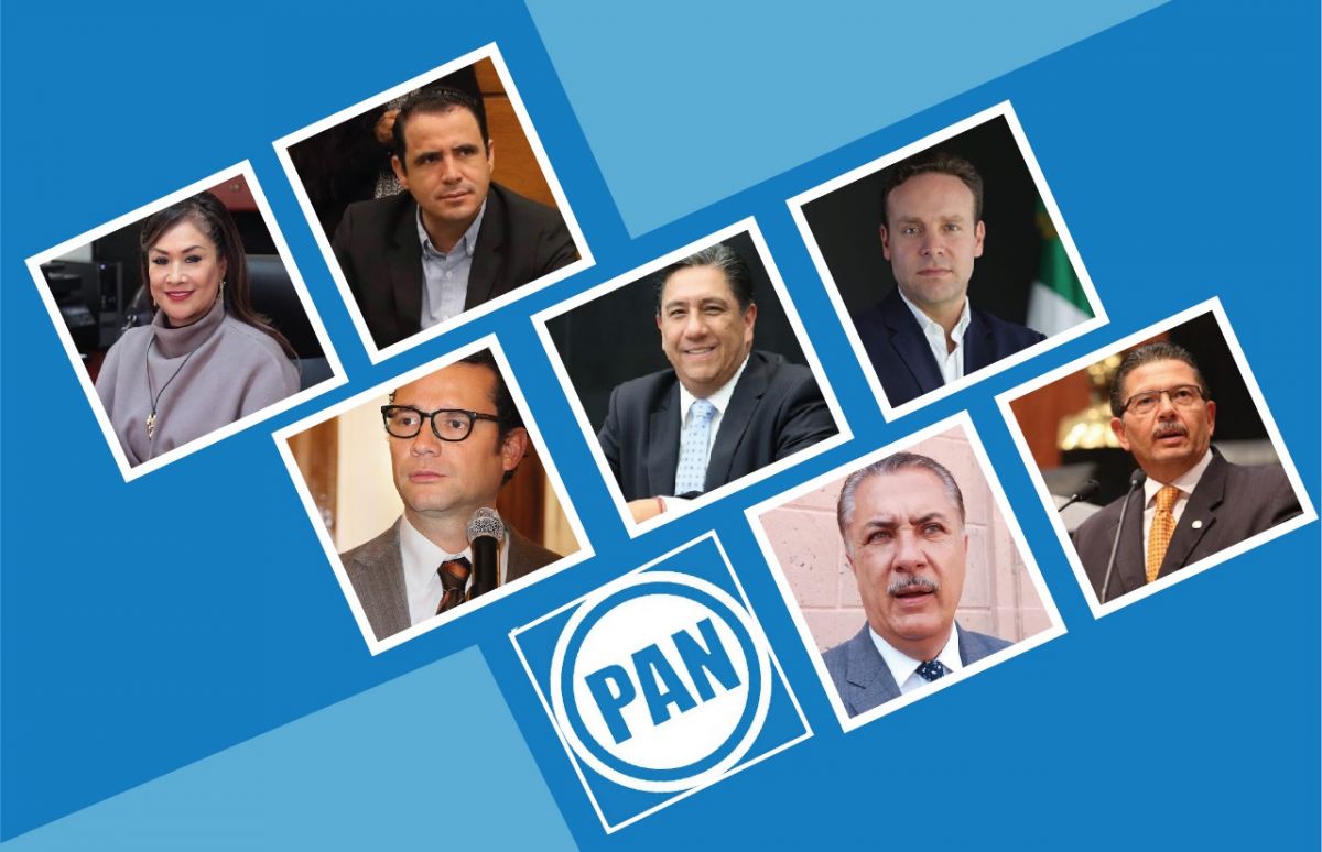 PAN-elecciones