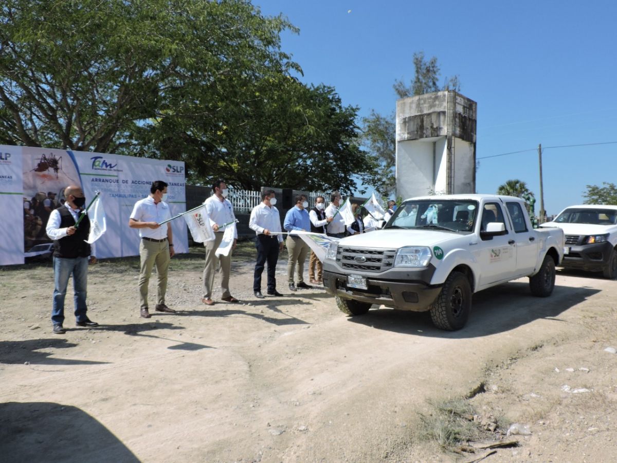 guerra contra dengue, zika y chikungunya