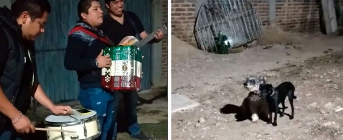 perrito-pareja-banda