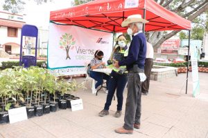 regalan arbolitos ecología de valles