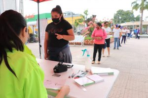 regalan arbolitos ecología de valles