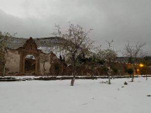 nevo en real de catorce 31 de diciembre 2020