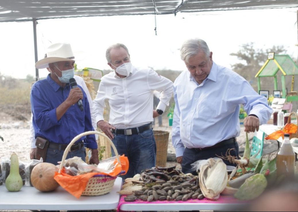 amlo