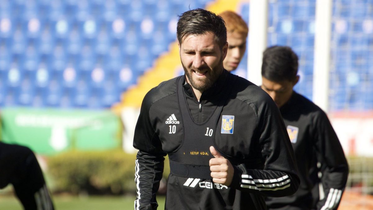 andre-pierre-gignac-tigres