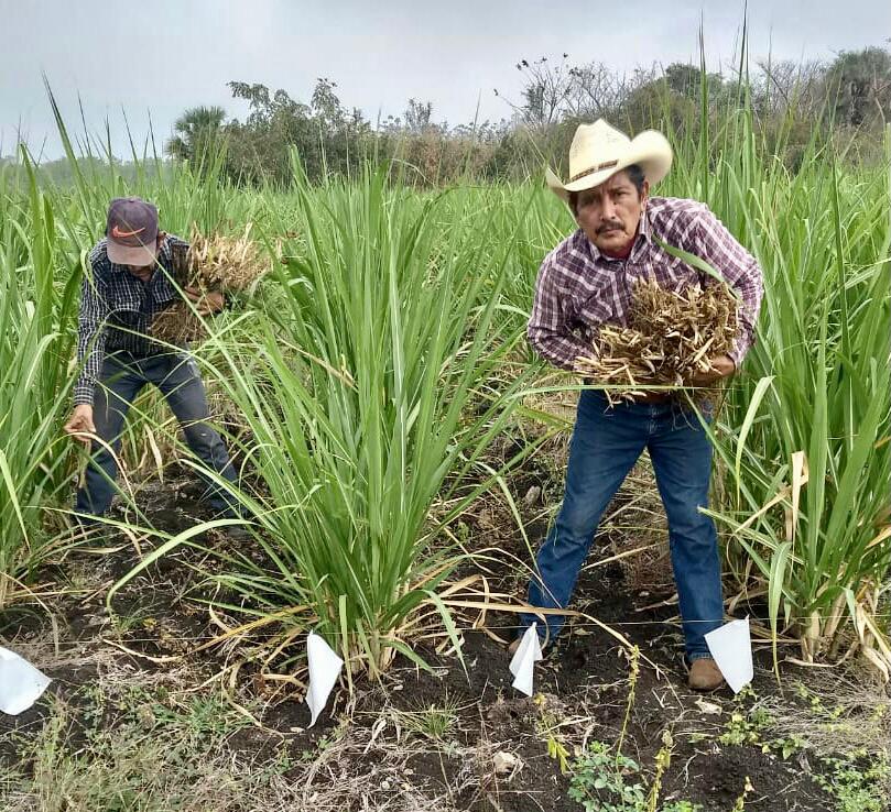 CURSO DE BIOINSECTICIDAS EN VALLES