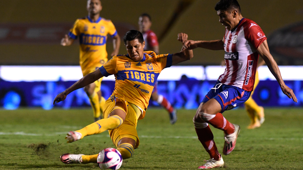 tigres-san-luis-ausencias