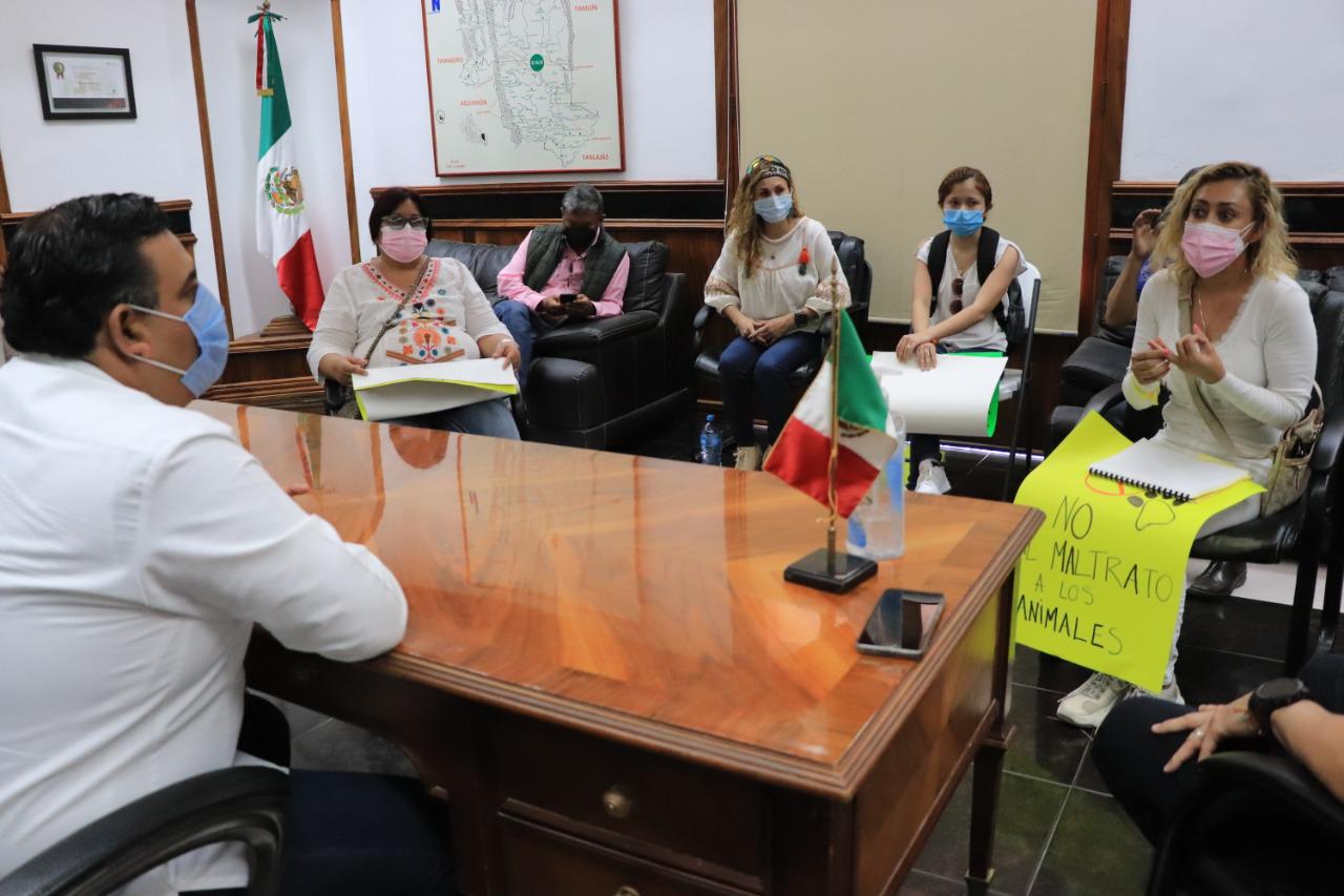 maltrato animal- organizaciones de protectoras de animales - ciudad valles