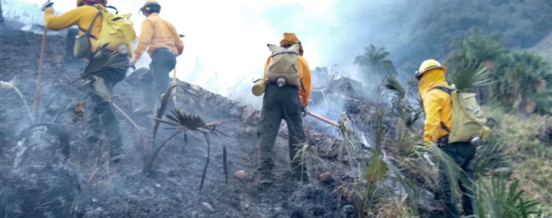 mil hectáreas afectadas por incendios conafor