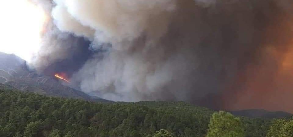 incendios-villa-guadalupe