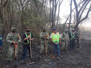 Incendios forestales 170 hectáreas consumidas 