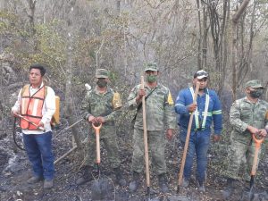 Incendios forestales 170 hectáreas consumidas 