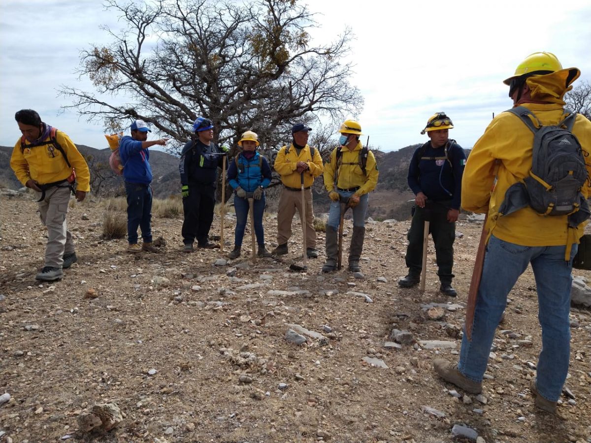 Autoridades mantiene vigilancia constante para prevenir incendios forestales