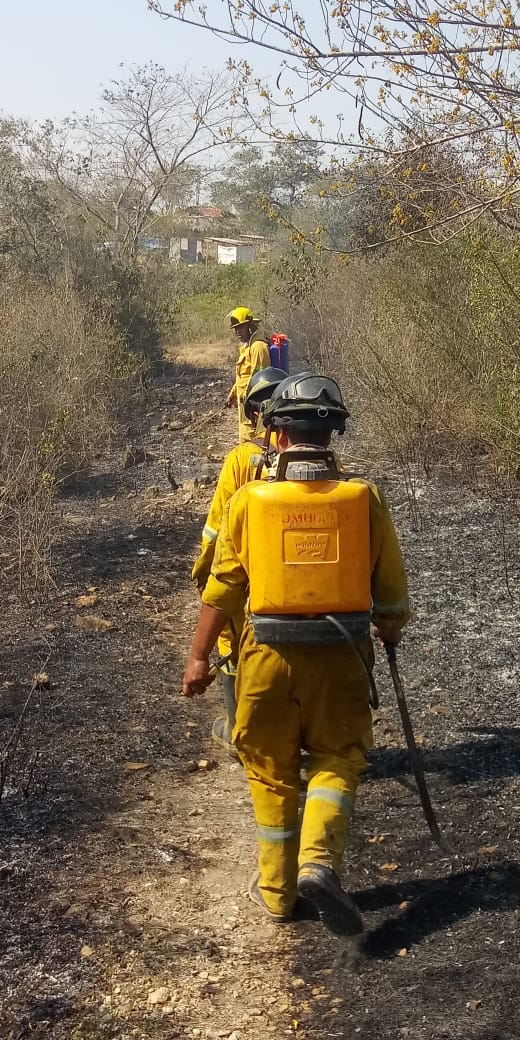 bomberos de Valles atienden más de 100 incendios