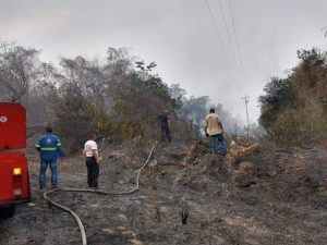 Incendios forestales zona huasteca - plan DN-III-E