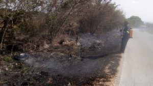 Incendios forestales zona huasteca - plan DN-III-E