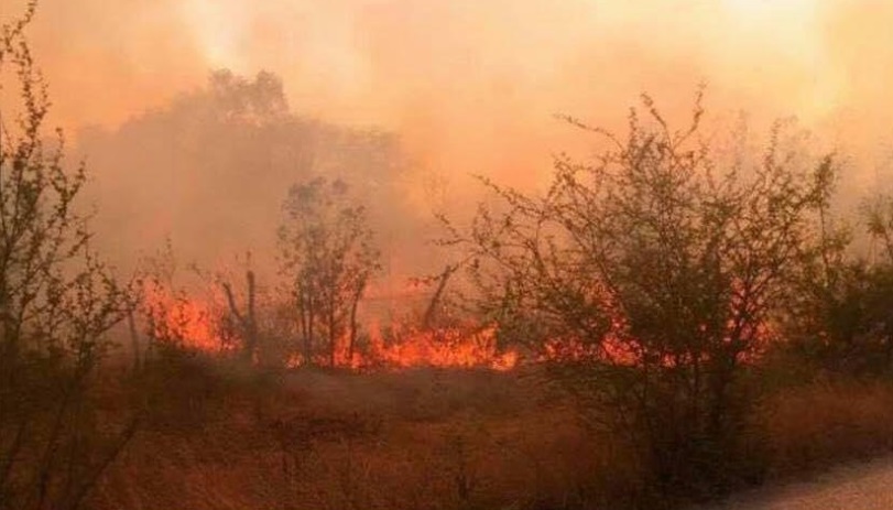 incendios forestales