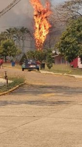 Incendios El Naranjo y Valles