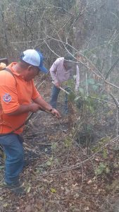 Incendios forestales 170 hectáreas consumidas 